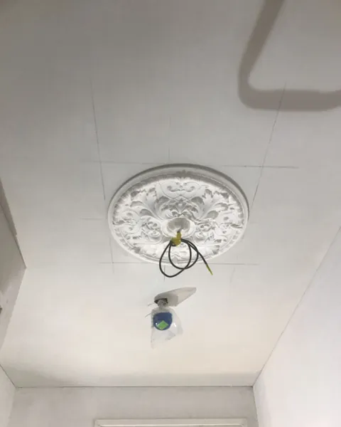 Wit plafond met een rozet